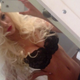 Illustration for article titled Courtney Stodden Made a Sex Tape. Pause For Lack of Reaction.